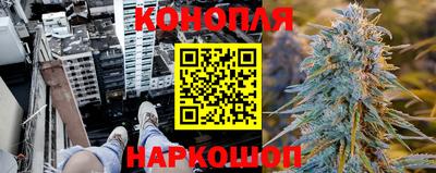 дмт Ачхой-Мартан