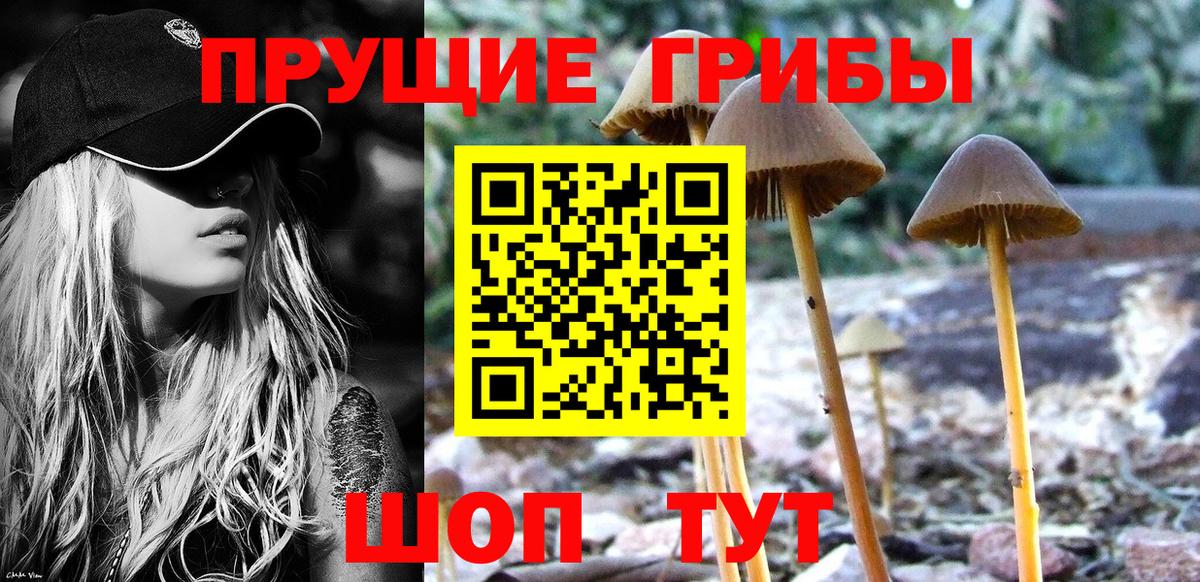 Ахтубинск  Псилоцибиновые грибы ЛСД  Галлюциногенные грибы ЛСД  Вход с VPN 